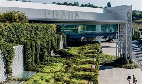 azienda prada città di castello|Prada assume 400 operai in Toscana, Umbria e Marche.